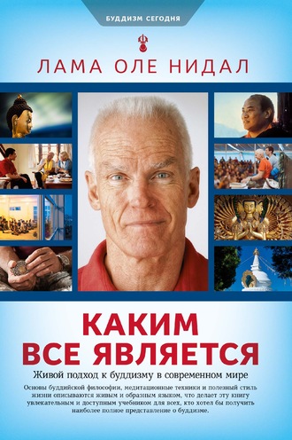 Оле Нидал, Каким все является. Живой подход к буддизму в современном мире